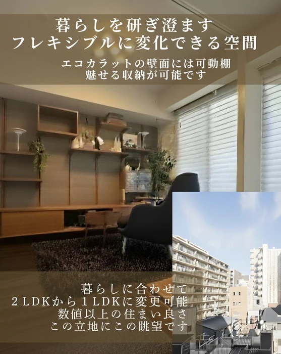 画像244