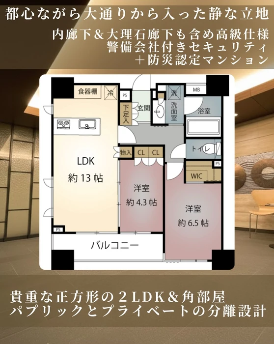 画像246